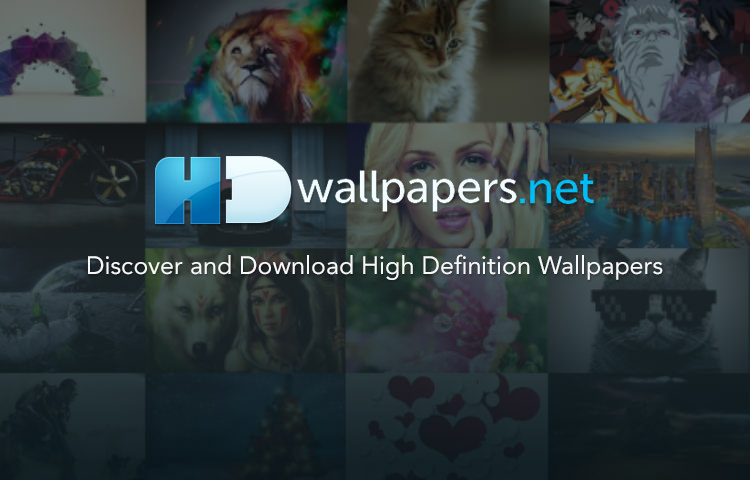 Letter h 1080P 2K 4K 5K HD wallpapers free download  Wallpaper Flare