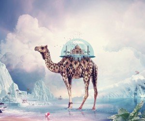 Fantasy Camel Wallpaper